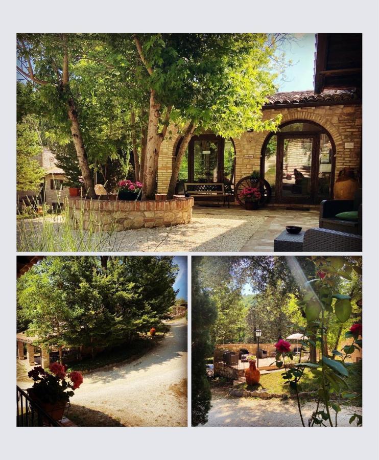 Agriturismo Le Querce Di Assisi Villa Dış mekan fotoğraf